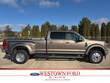  Ford F-450