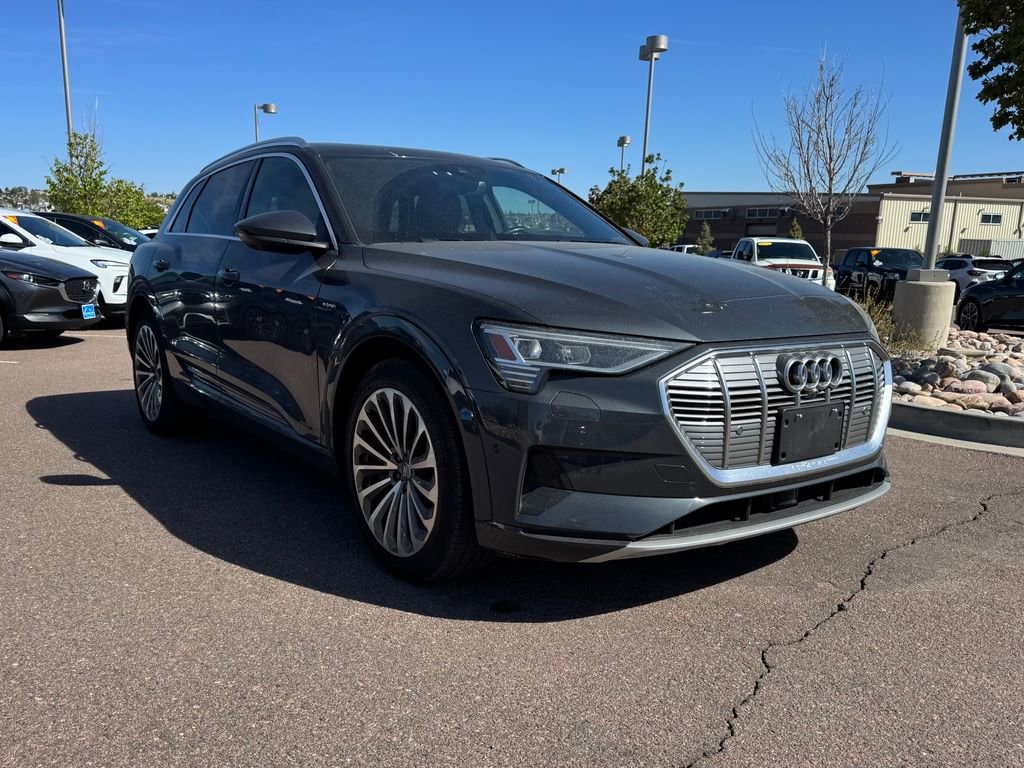 2019 Audi e-tron Prestige's photo