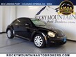 Volkswagen Beetle Coupe