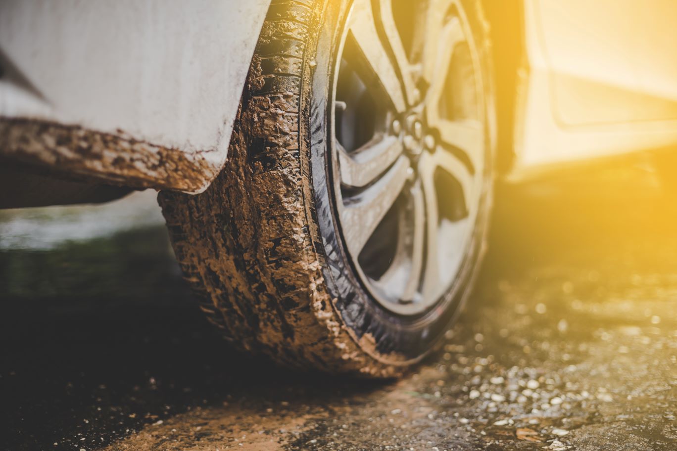 stuck in the mud