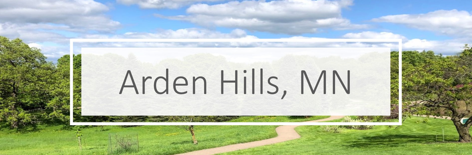 Affordable used cars near Arden Hills