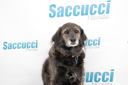 Staff member Remington from ID_a8c3388caa0d