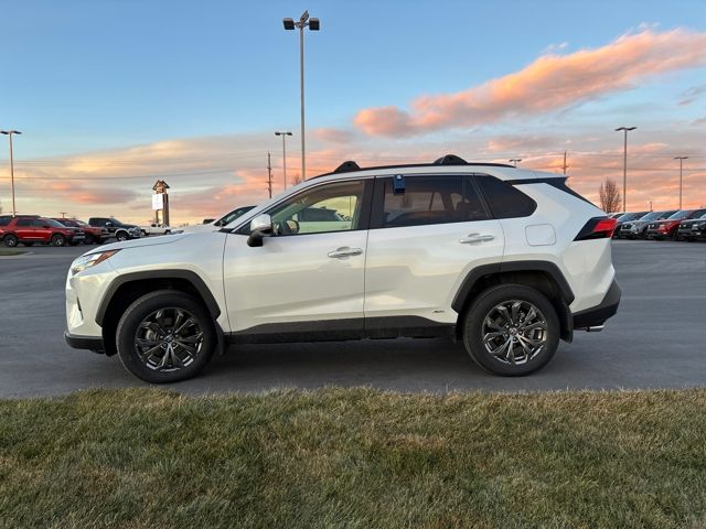 2024 Toyota RAV4 Limited - Photo 6