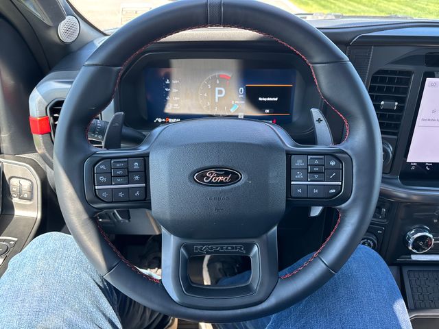 2025 Ford F-150 Raptor - Photo 14