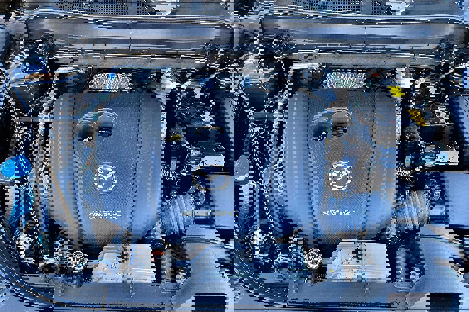View 9