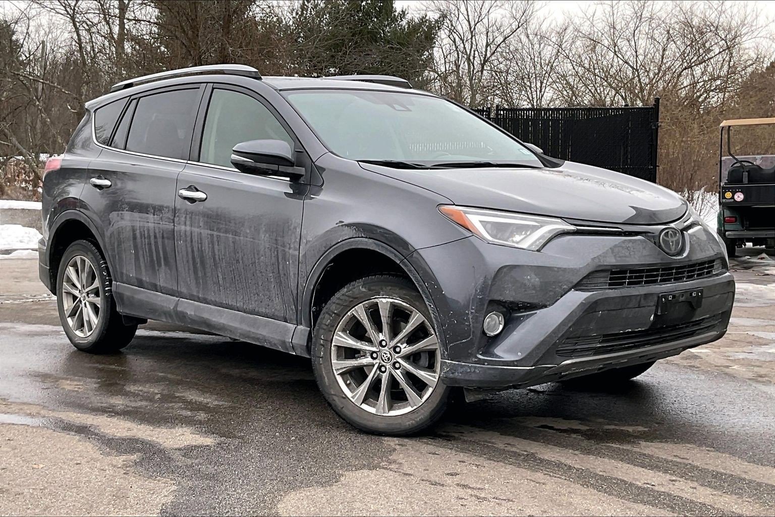 2018 Toyota RAV4 Limited's photo