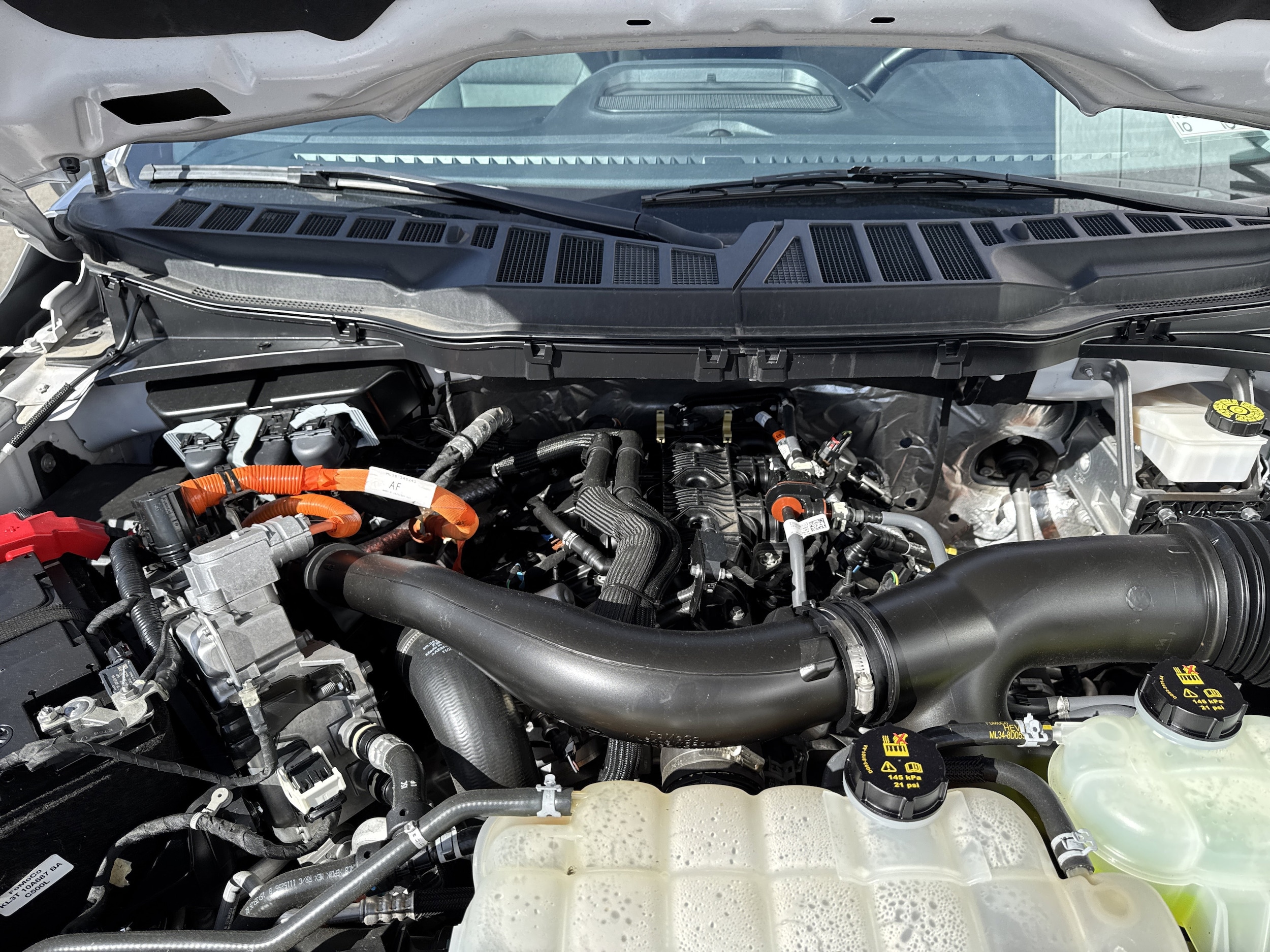 2024 Ford F-150 XLT - Photo 9
