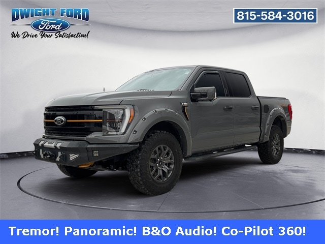 2021 Ford F-150 Tremor's photo
