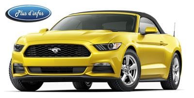 mustang