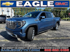 2025 GMC Sierra 1500 Denali Truck