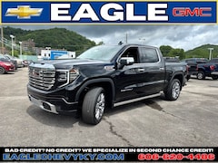 2025 GMC Sierra 1500 Denali Truck