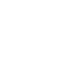 money icon