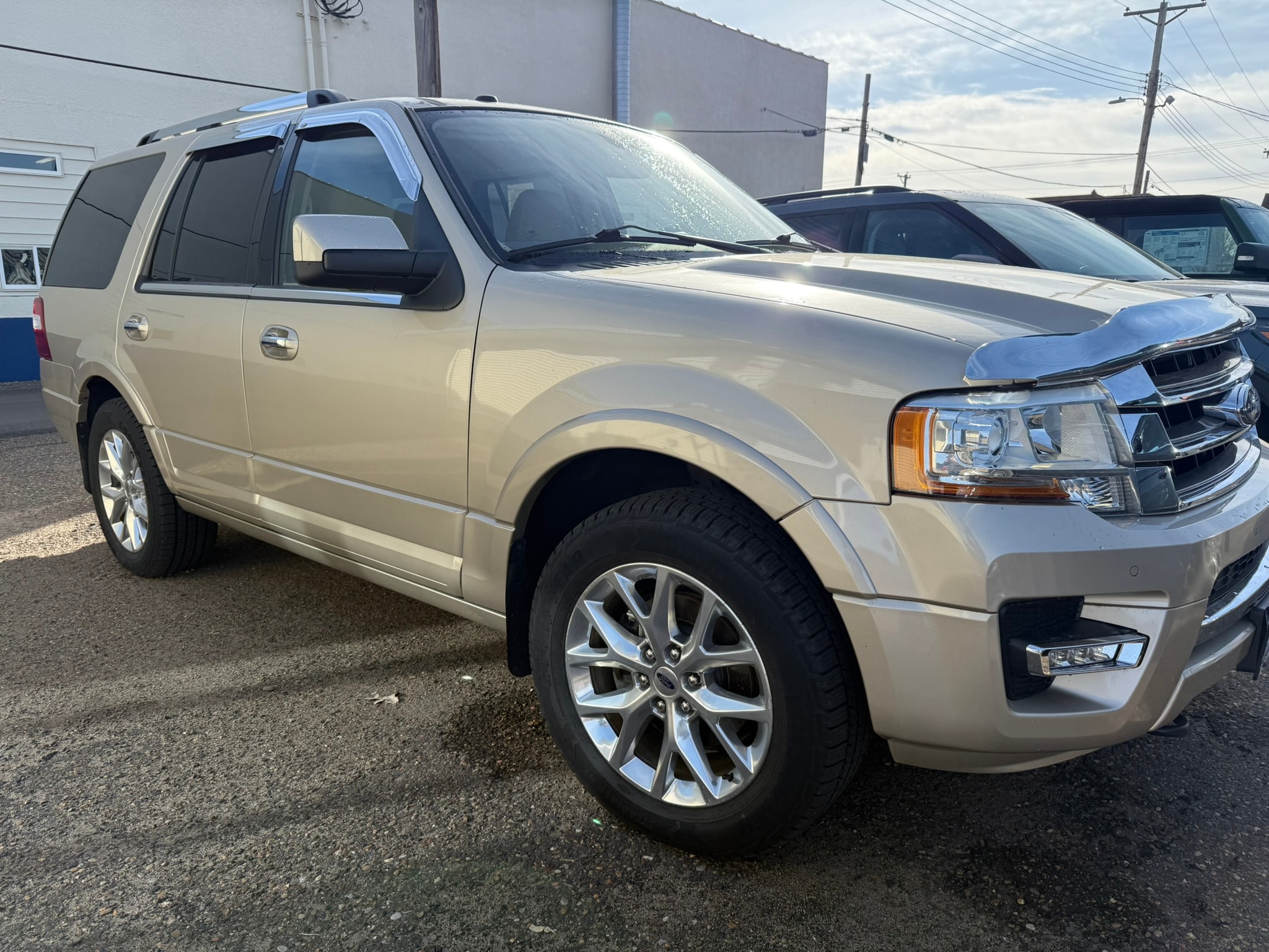 2017 Ford Expedition Limited's photo