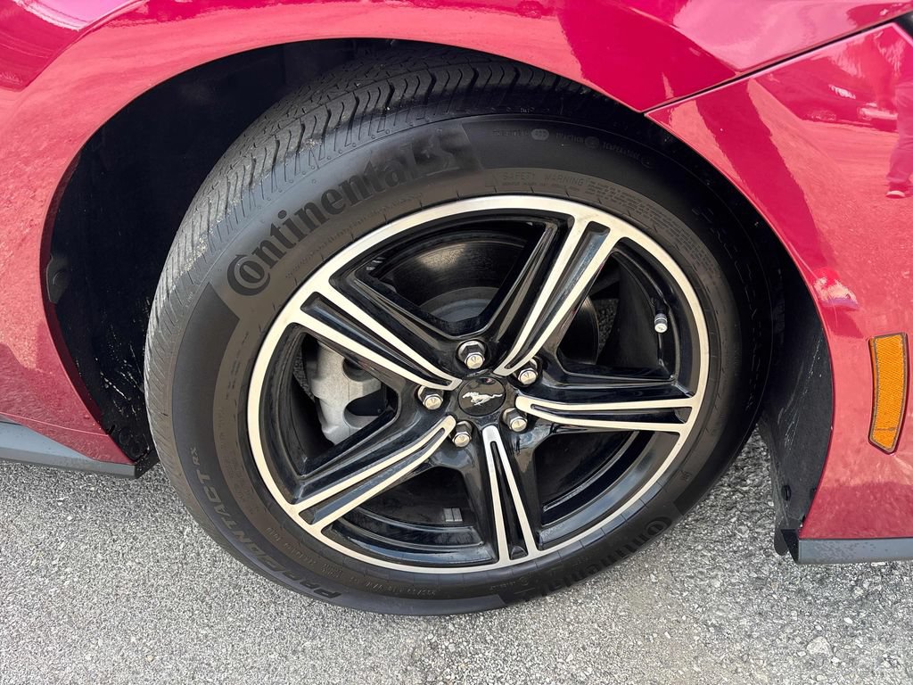 2025 Ford Mustang EcoBoost - Photo 17