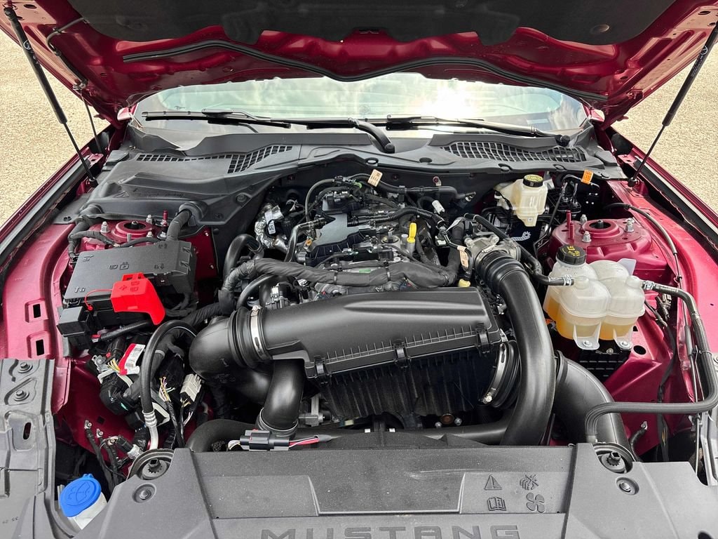 2025 Ford Mustang EcoBoost - Photo 19