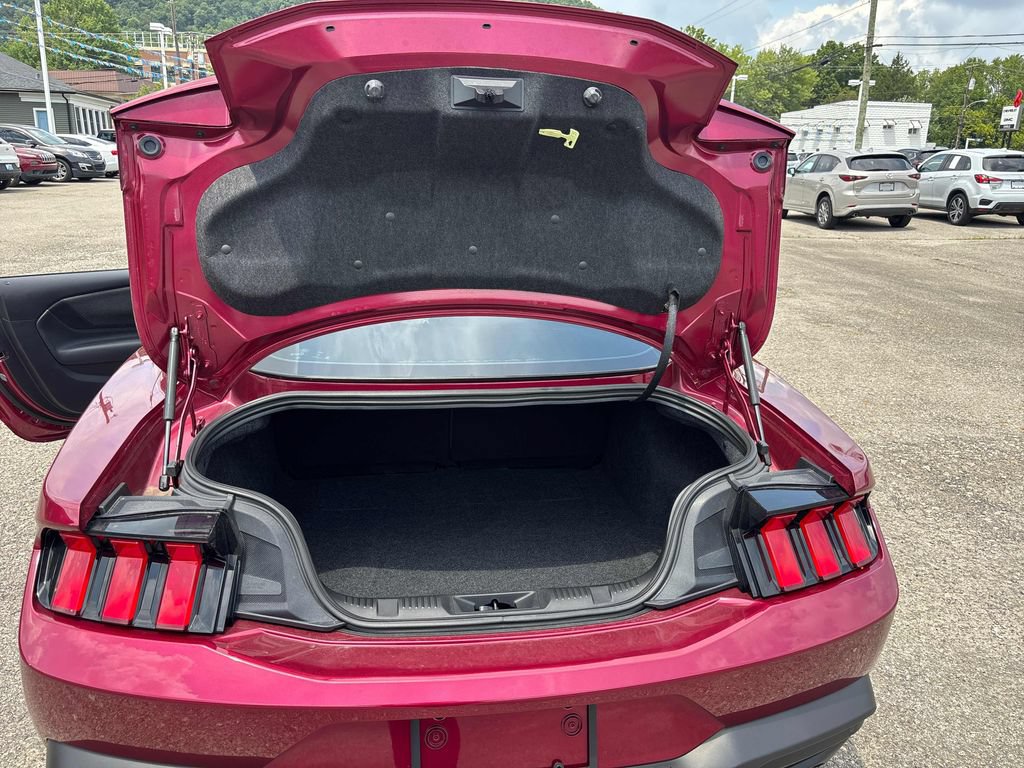 2025 Ford Mustang EcoBoost - Photo 23