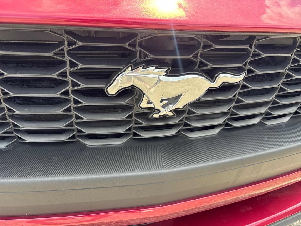 2025 Ford Mustang EcoBoost - Photo 18