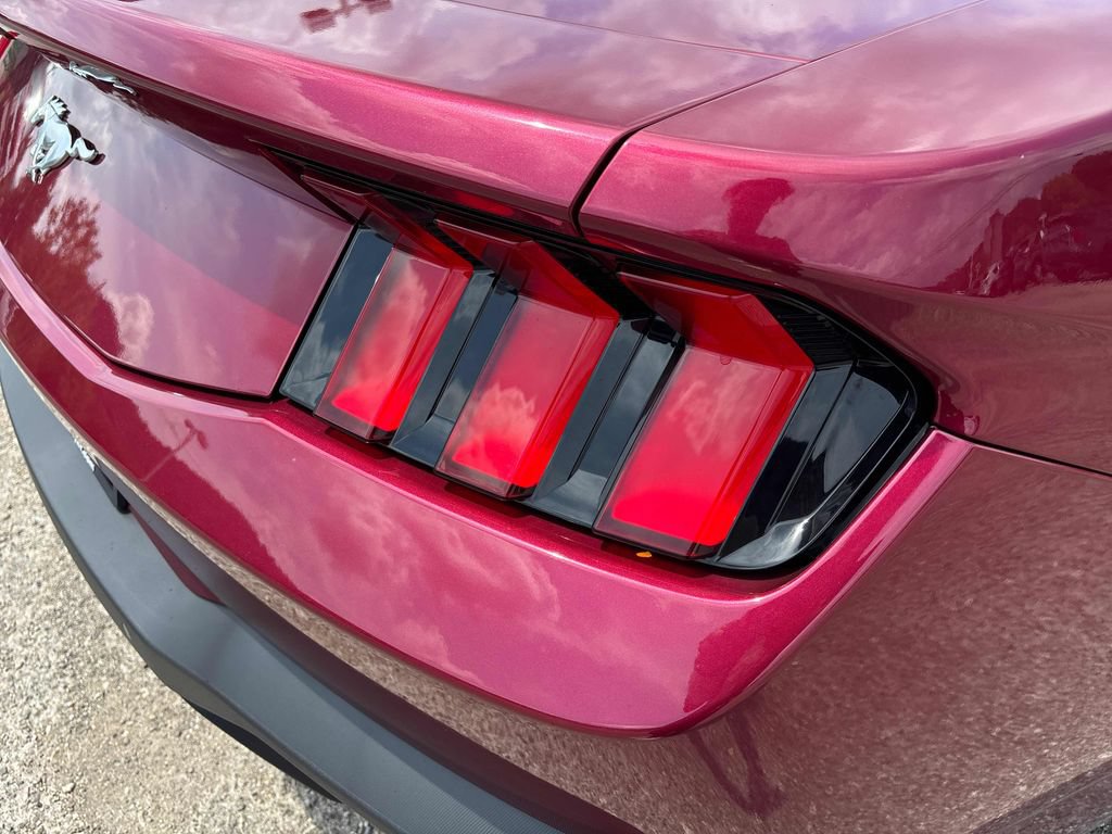 2025 Ford Mustang EcoBoost - Photo 21
