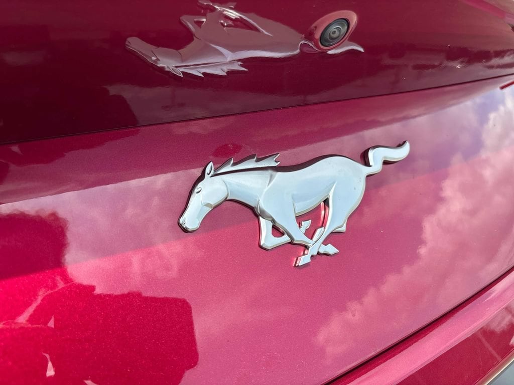 2025 Ford Mustang EcoBoost - Photo 22