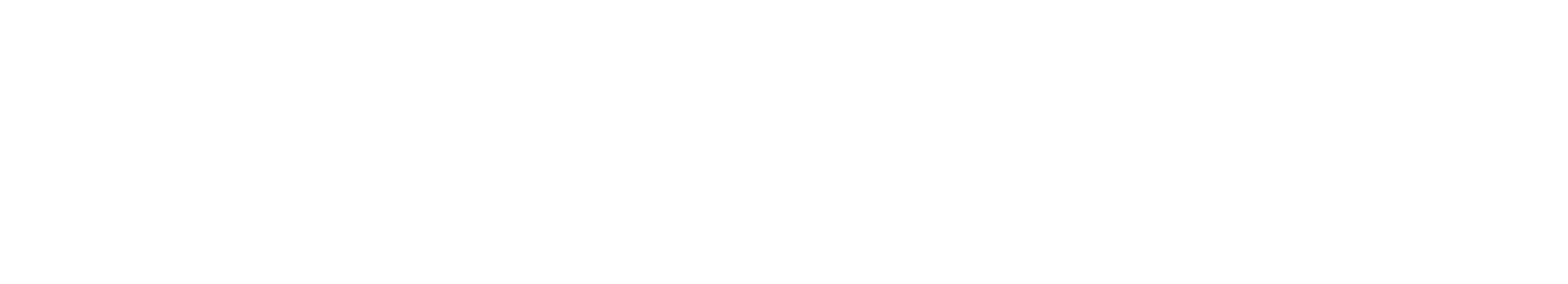 Gunther Werks Dallas