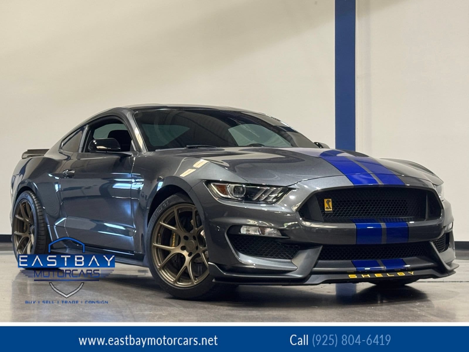 2016 Ford Mustang Shelby GT350's photo