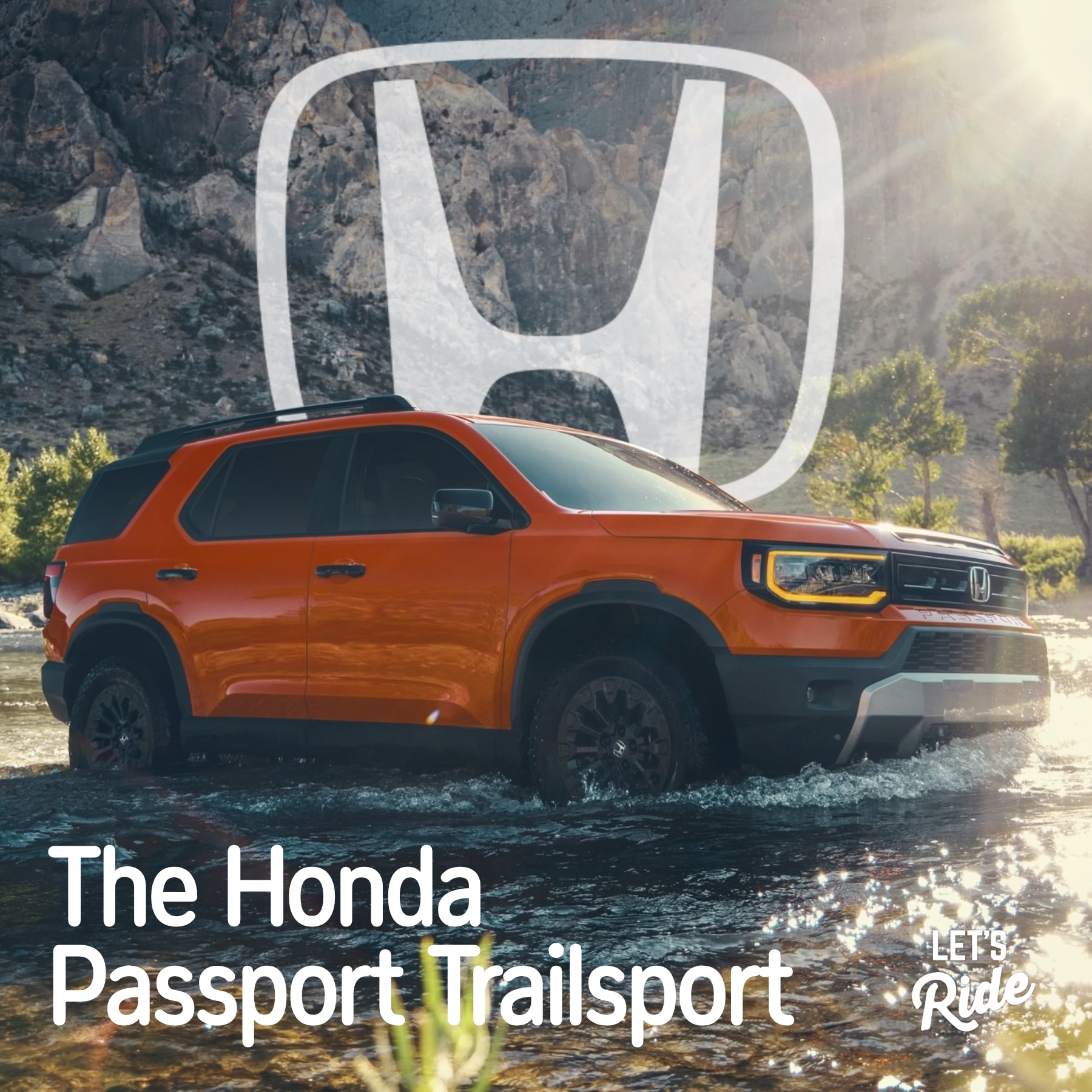 PASSPORT%20(4).png