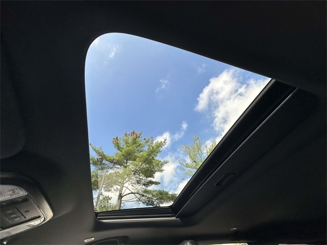 View 41