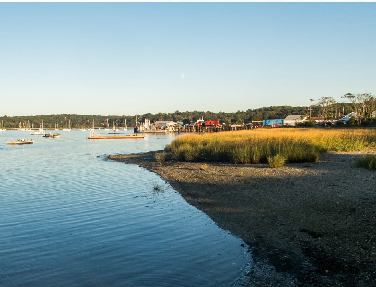 Coastal harbor with boats, marsh grass, and waterfront buildings along the shoreline.