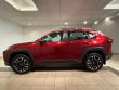 2019 Toyota RAV4 Adventure SUV