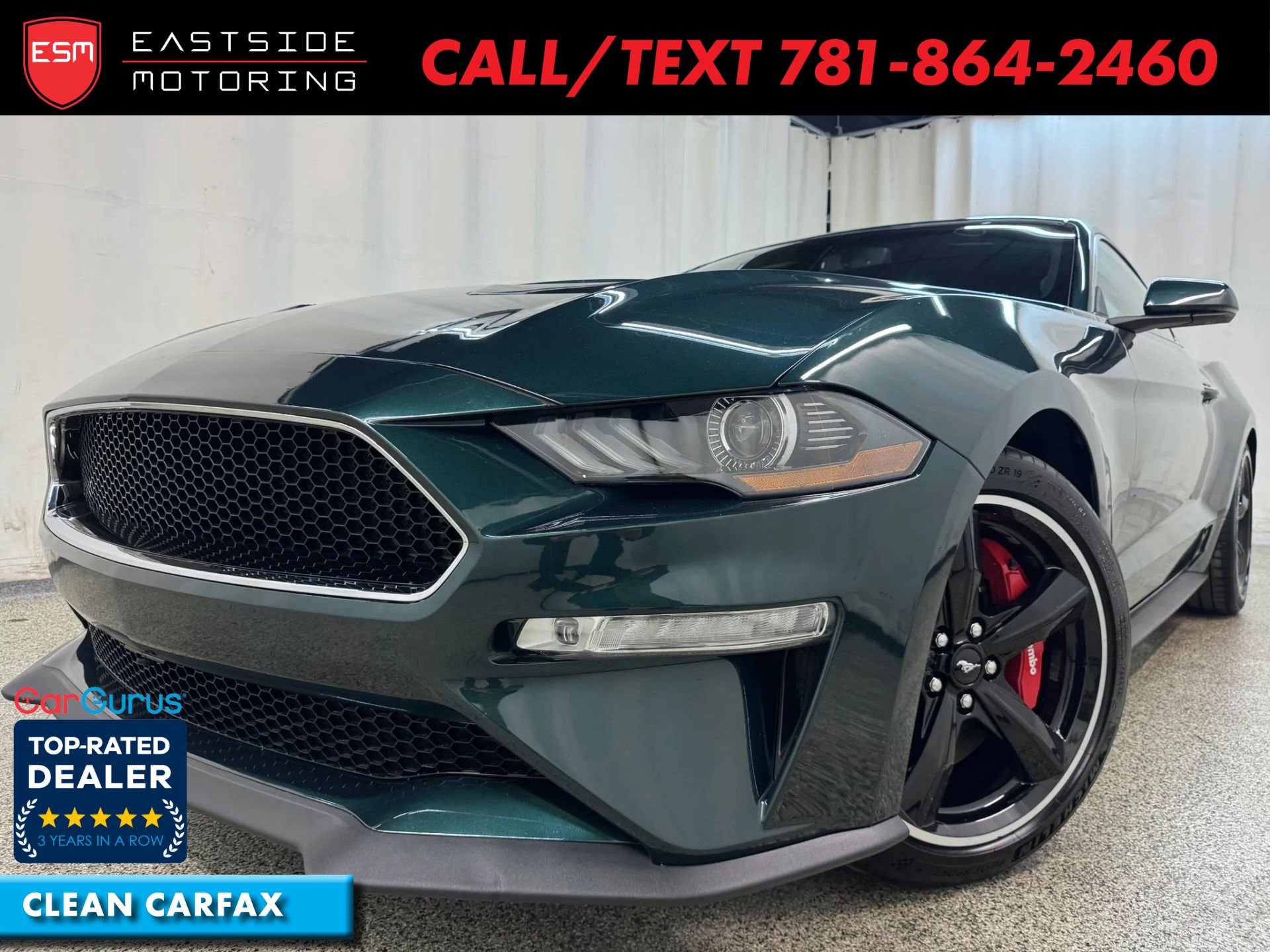 2019 Ford Mustang Bullitt's photo