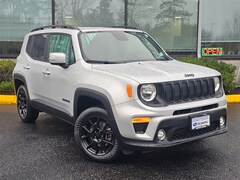 2019 Jeep Renegade