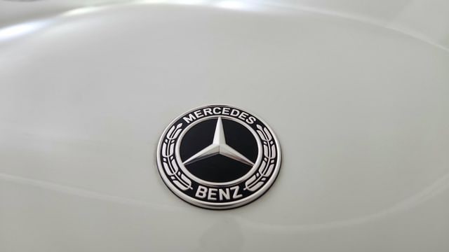 2025 Mercedes-Benz GLS Base - Photo 16