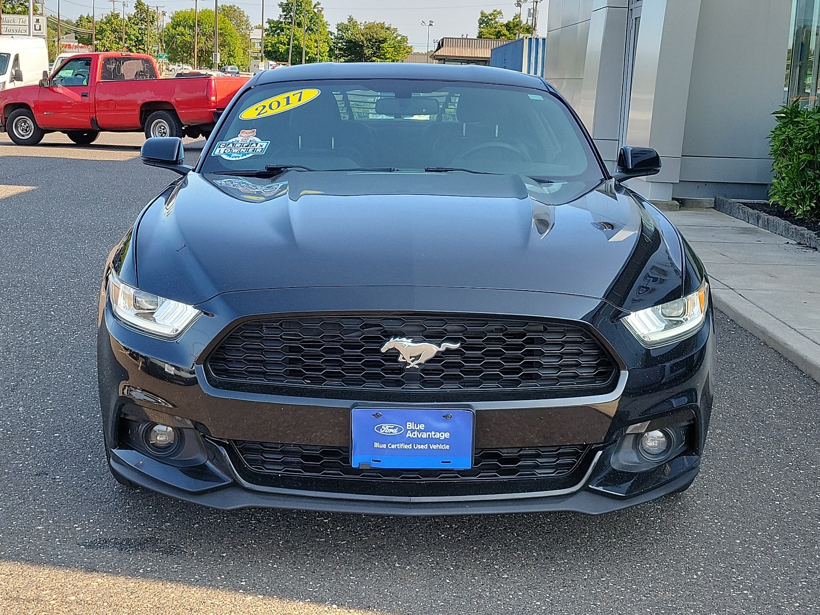 Certified 2017 Ford Mustang EcoBoost Premium with VIN 1FA6P8TH9H5229996 for sale in Stratford, NJ