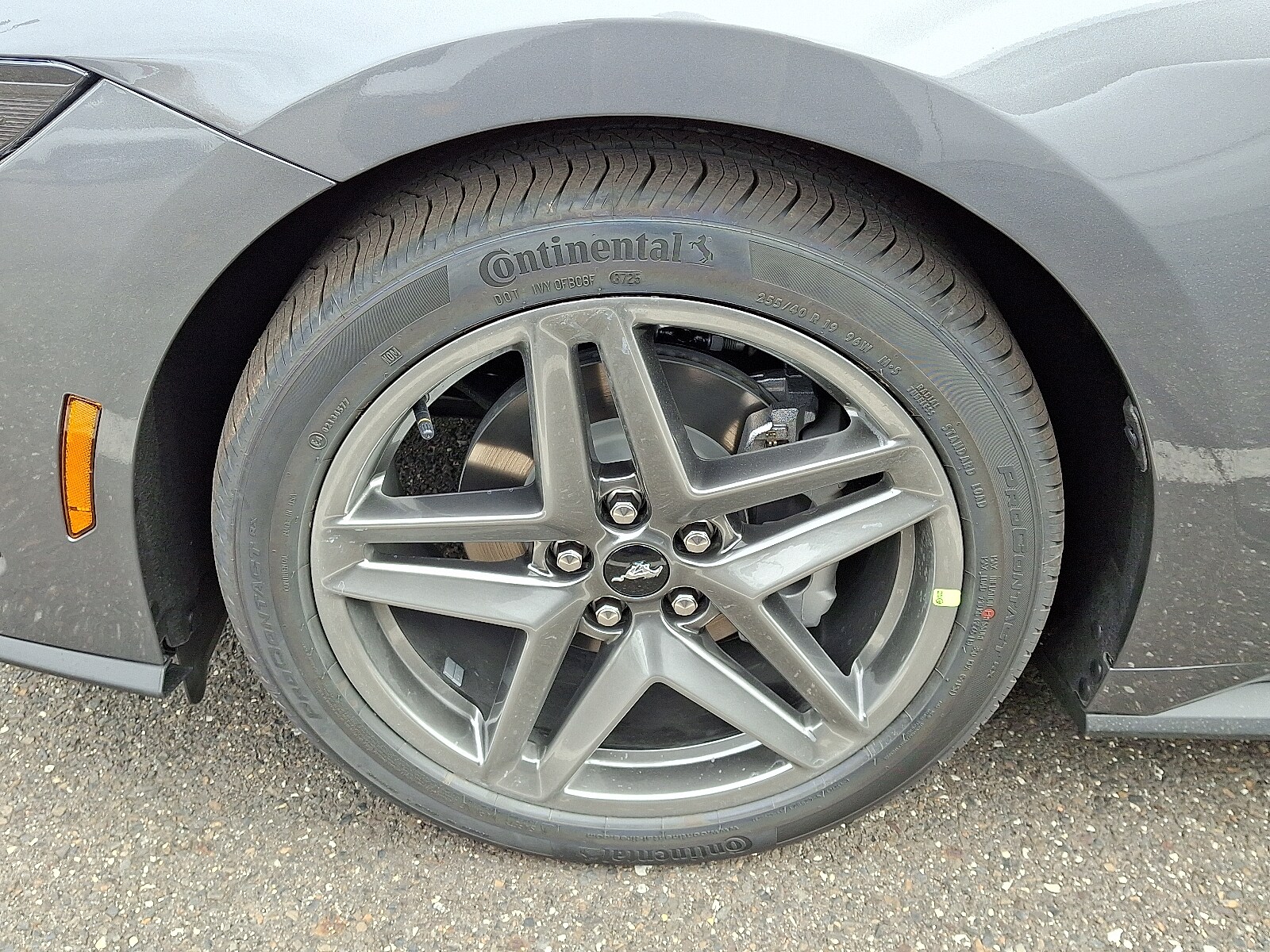 2026 Ford Mustang EcoBoost photo 3