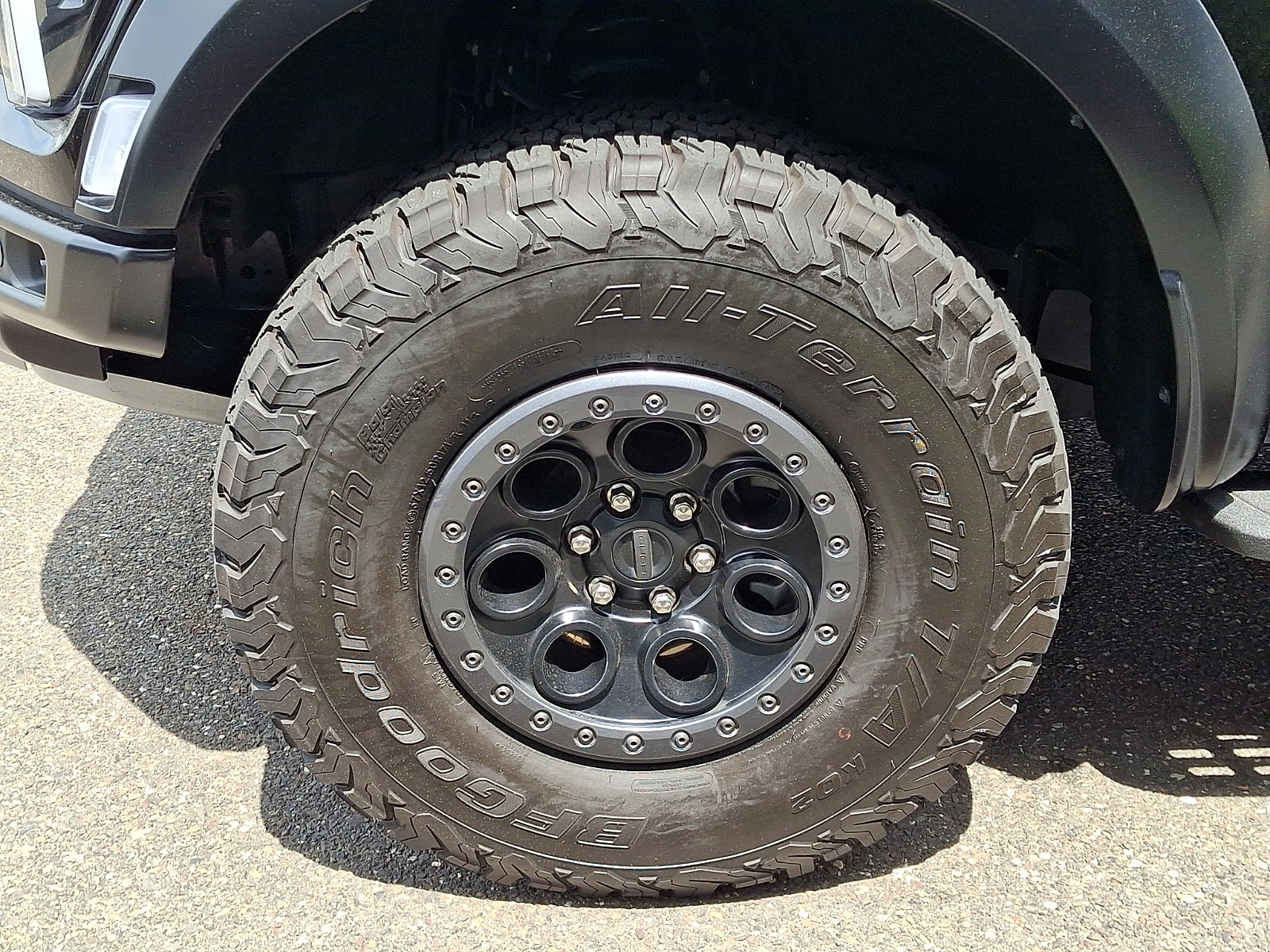 2025 Ford F-150 Raptor - Photo 10