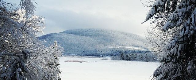 SnowyMountain