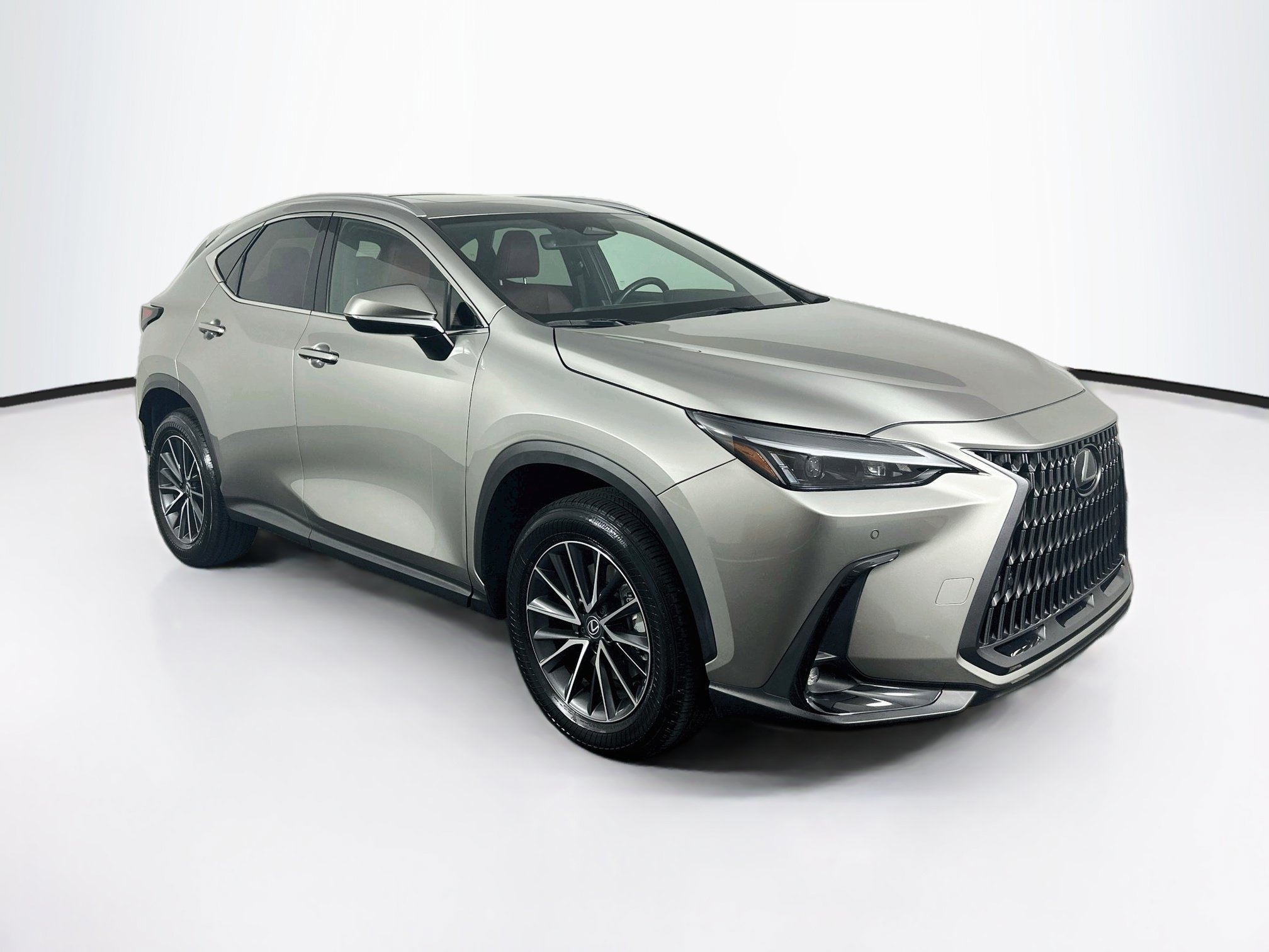 2025 Lexus NX 250