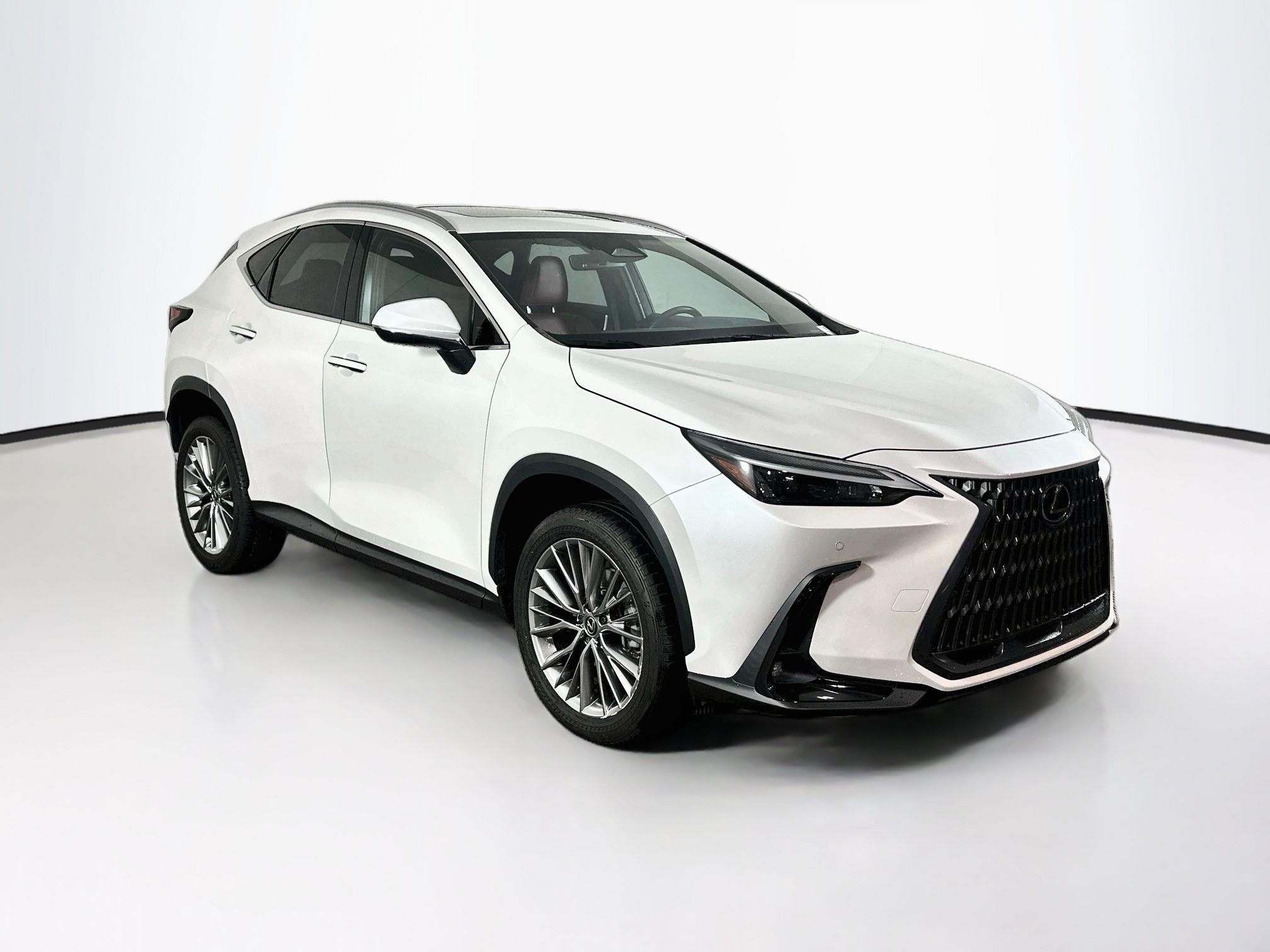 2025 Lexus NX 350