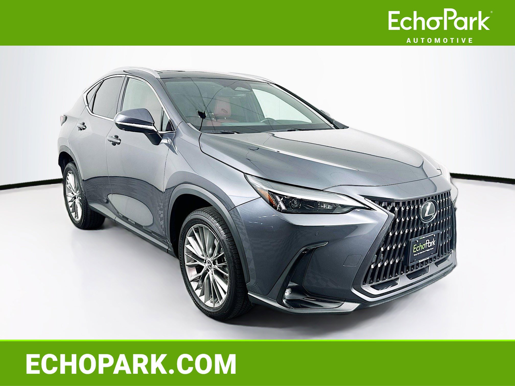 2023 Lexus NX 350's photo
