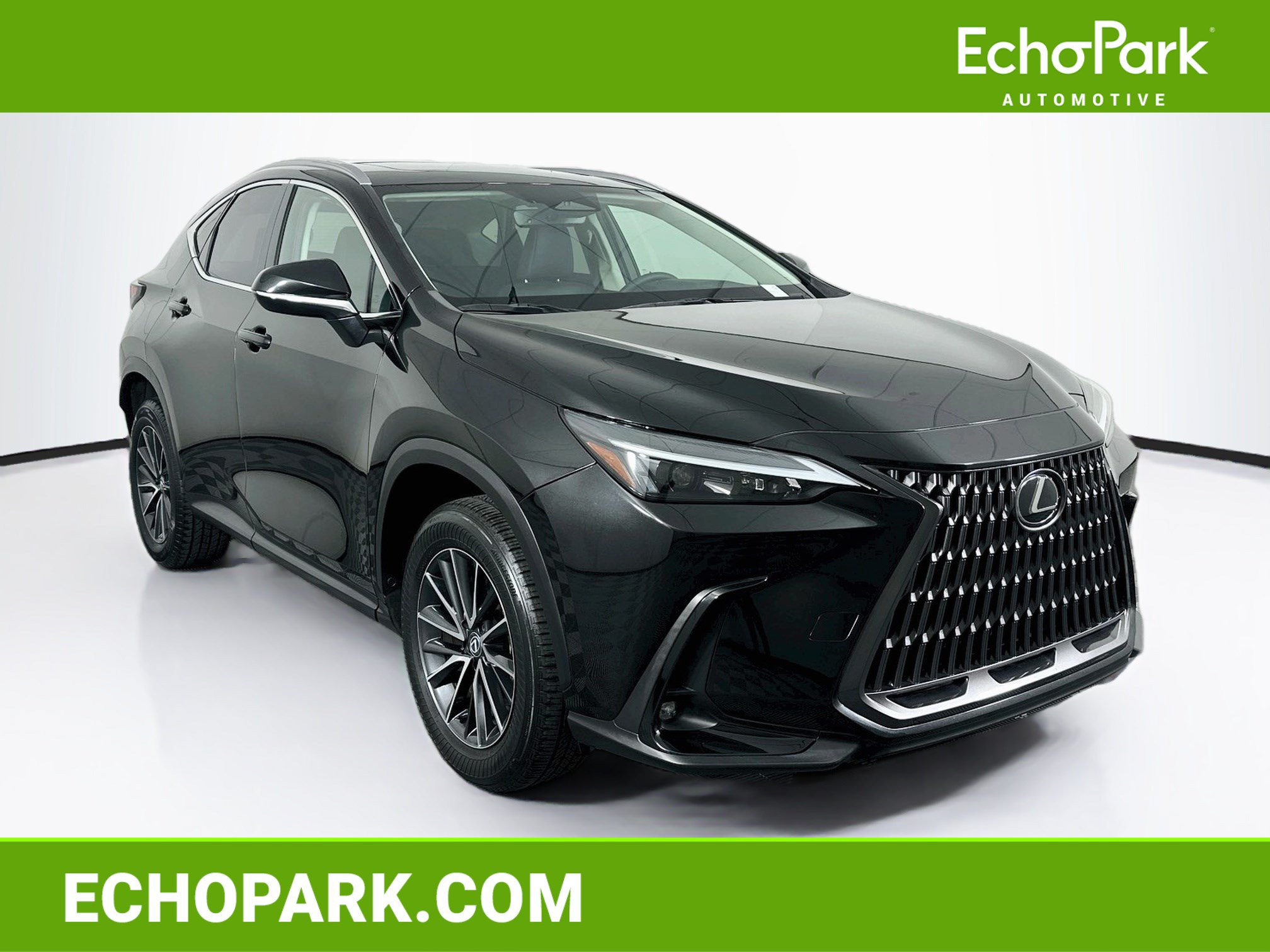2024 Lexus NX