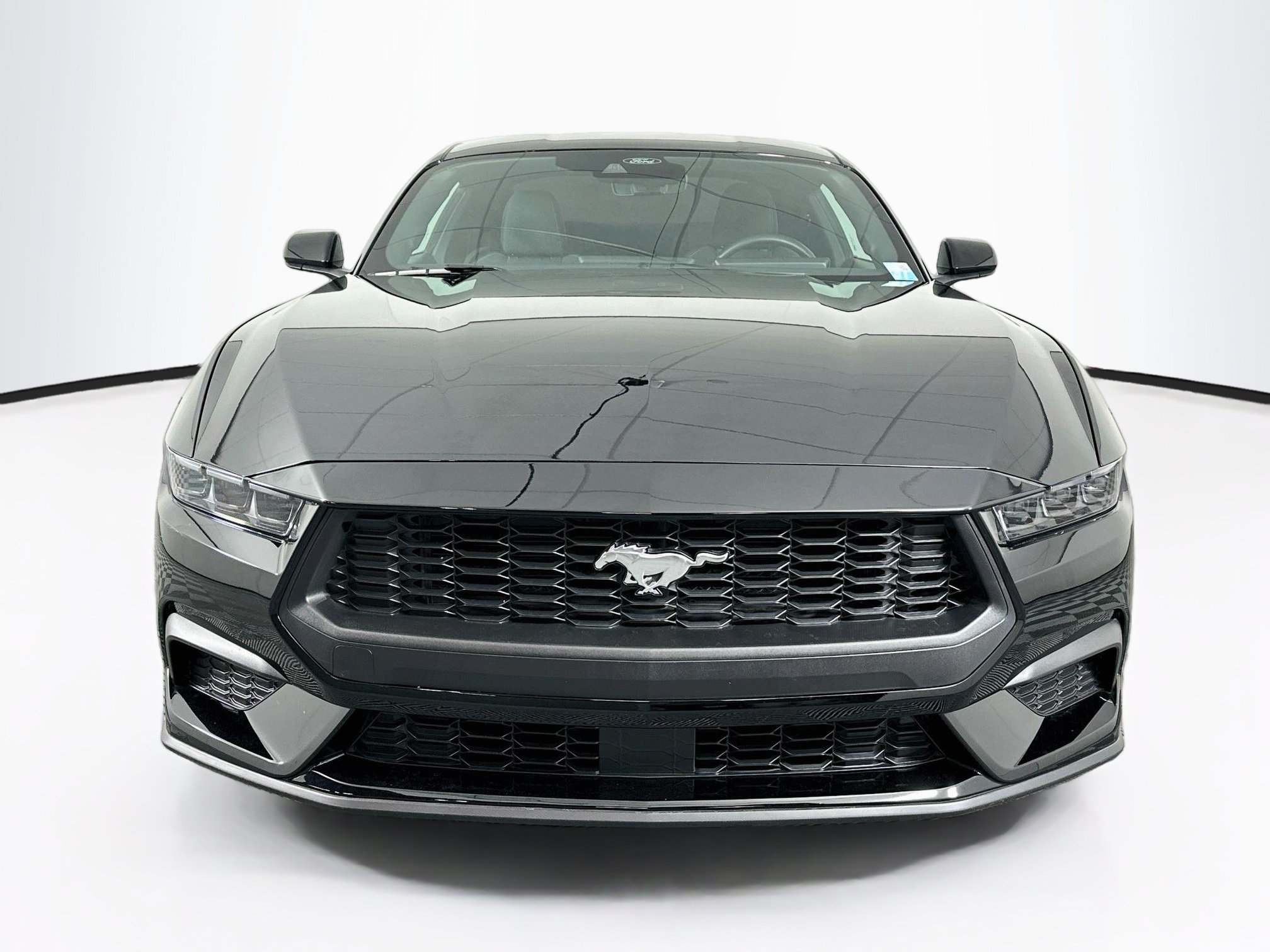 Used 2025 Ford Mustang EcoBoost EcoBoost Fastback