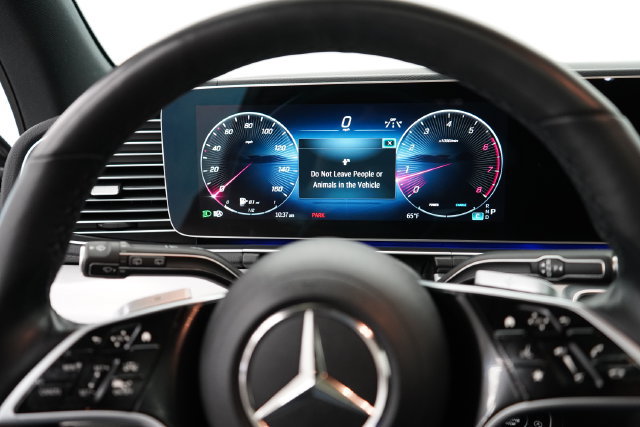 2025 Mercedes-Benz GLS Base - Photo 15