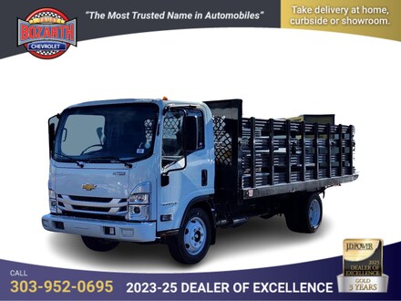 2024 Chevrolet Low Cab Forward 4500 Medium ASH Gray Truck
