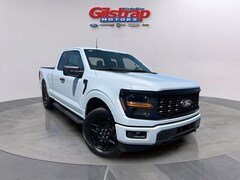2025 Ford F-150 STX Truck