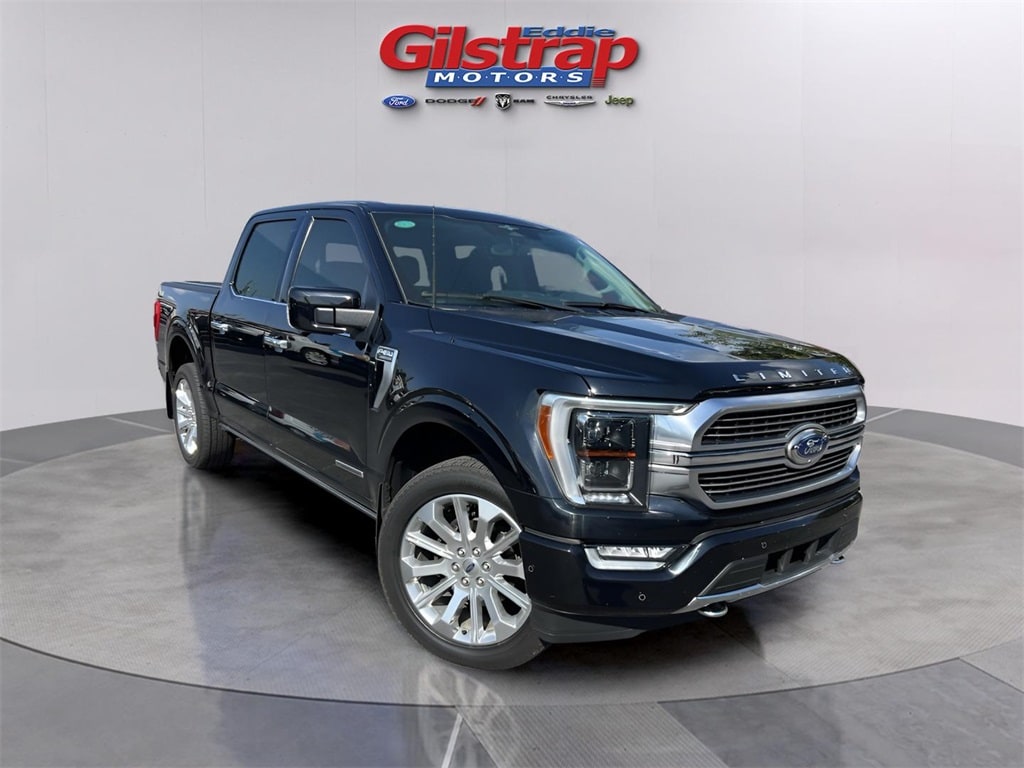 2023 Ford F-150 Limited's photo