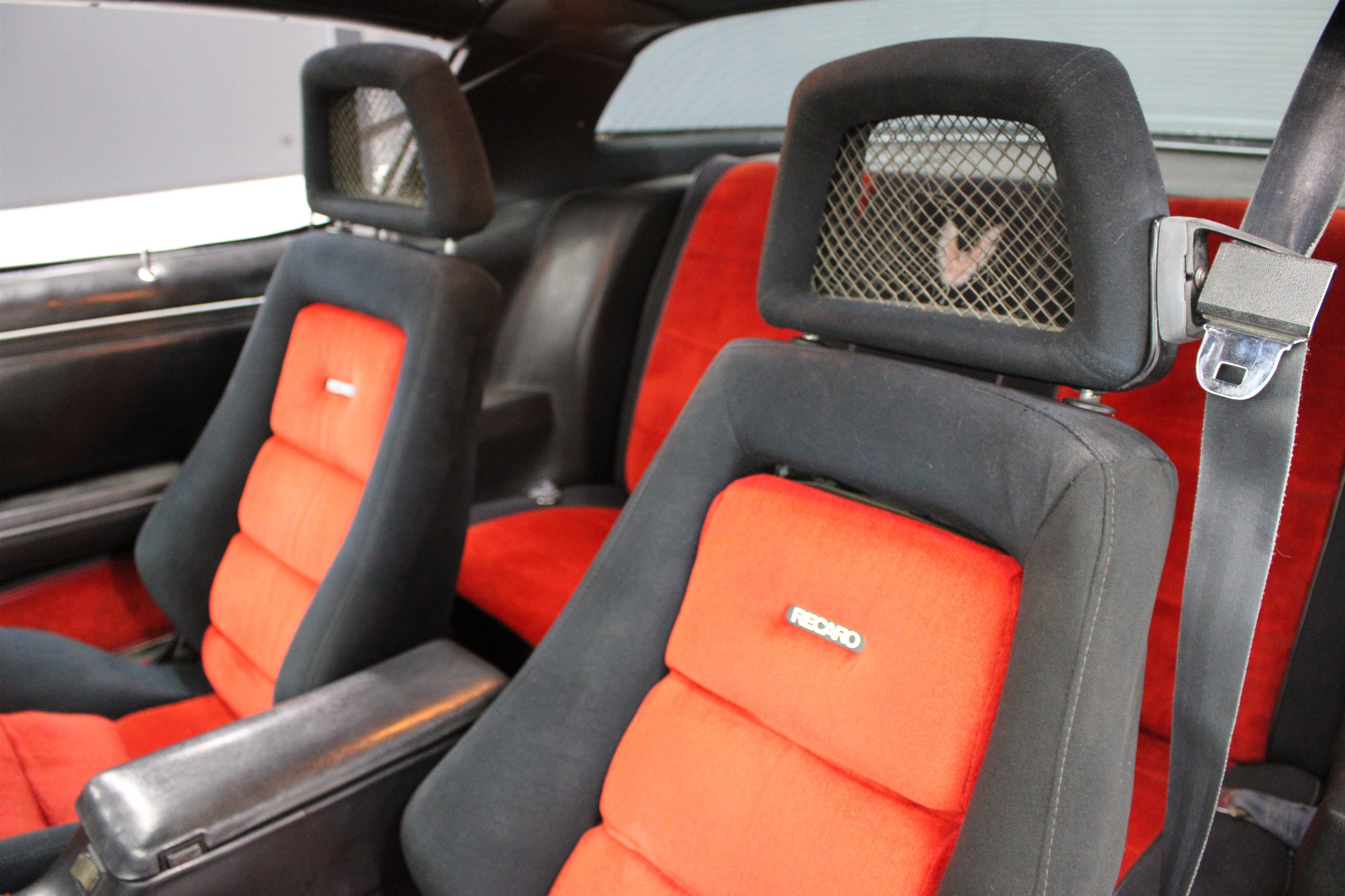 1981 Pontiac Firebird - Photo 12