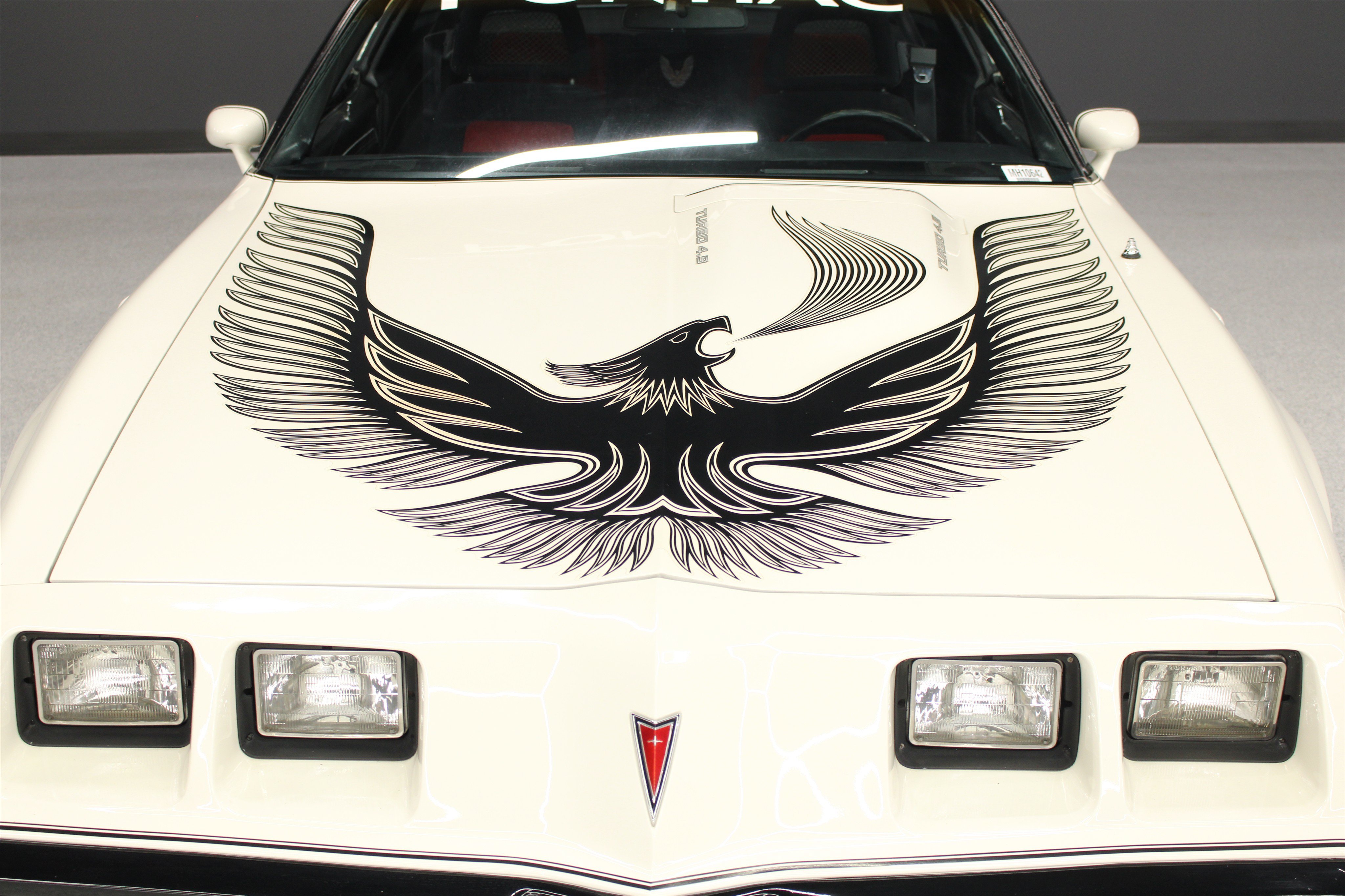 1981 Pontiac Firebird - Photo 9