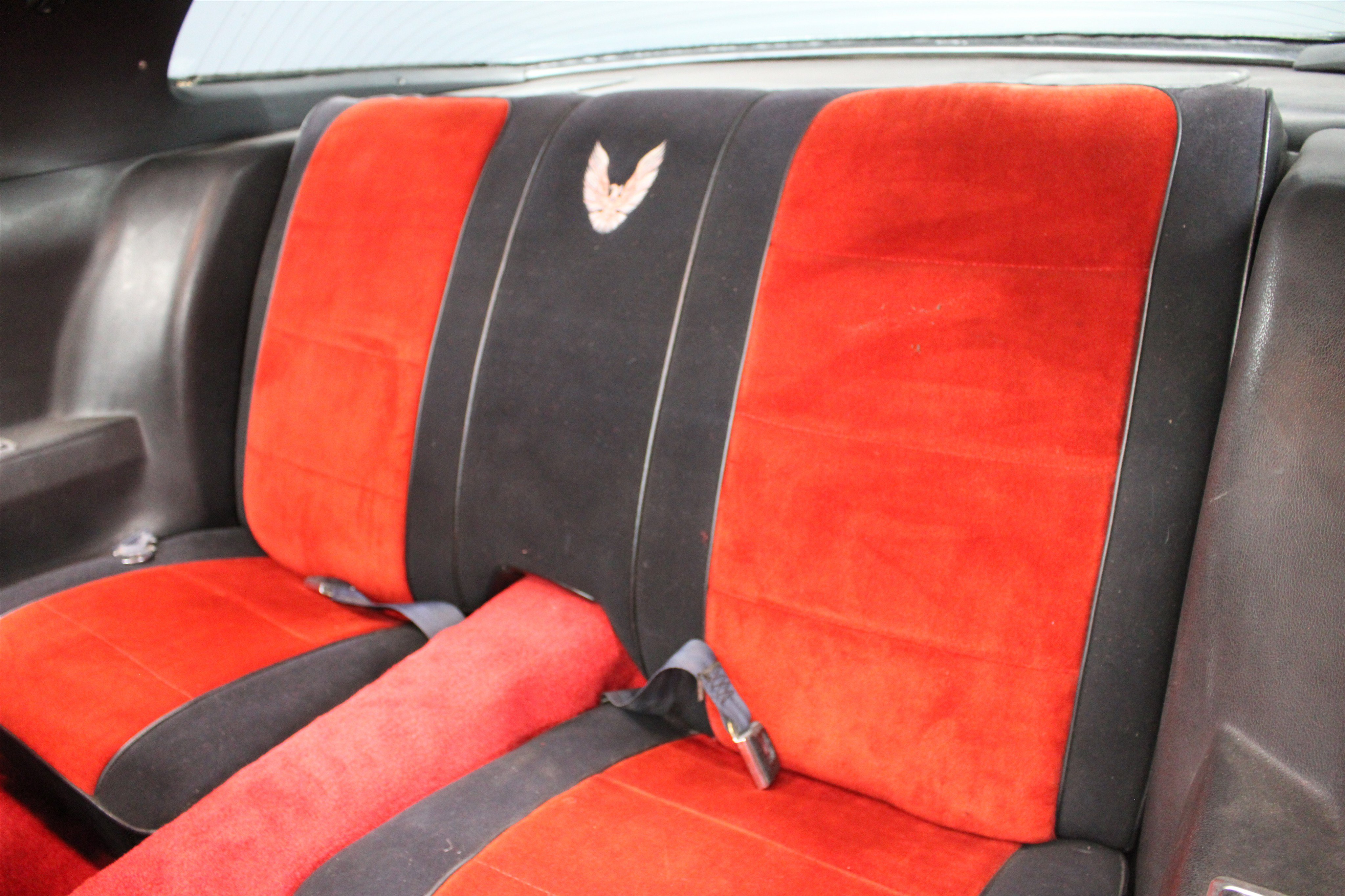 1981 Pontiac Firebird - Photo 21