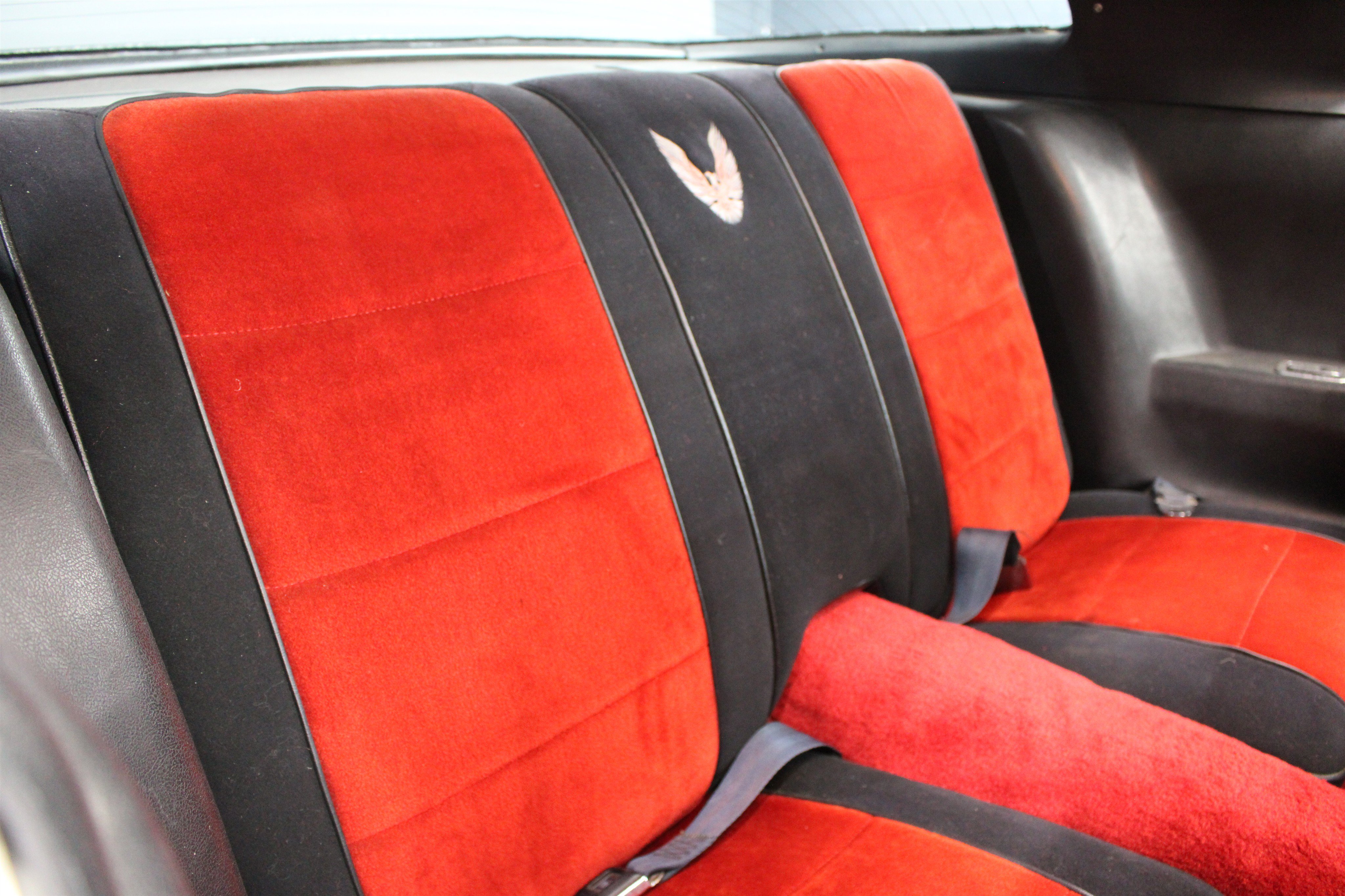 1981 Pontiac Firebird - Photo 24