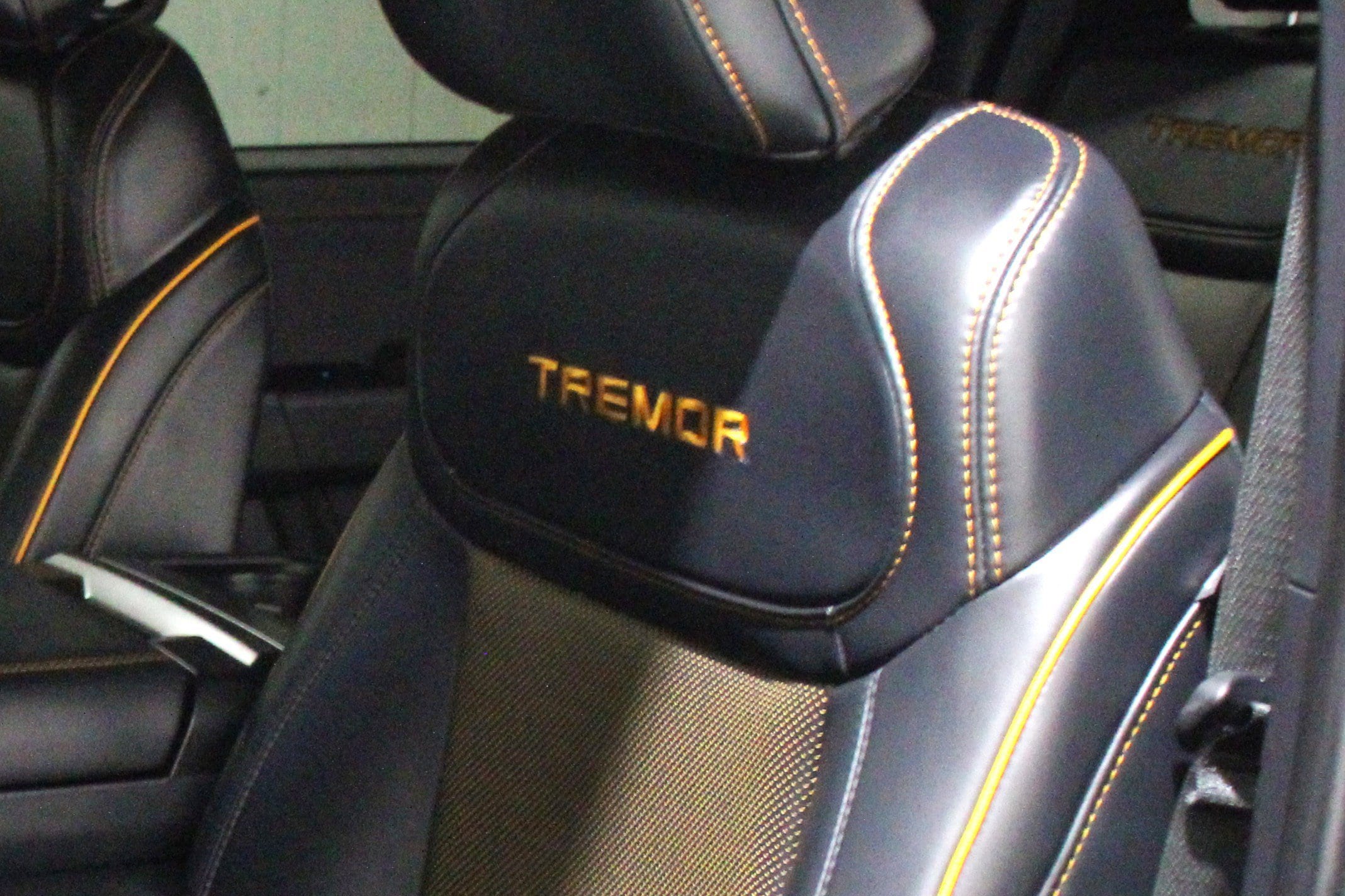 2025 Ford F-150 Tremor - Photo 5